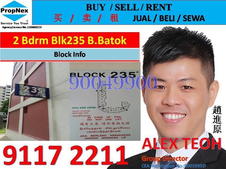 Blk 235 Bukit Batok East Avenue 5 (Bukit Batok), HDB 3 Rooms #139318342